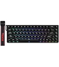 Amazon.com: EPOMAKER Magforce68 Wired Magnetic Gaming Keyboard